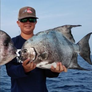 Meet your Posher, Logan